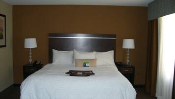 King studio suite | Minibar, in-room safe, iron/ironing board, free WiFi