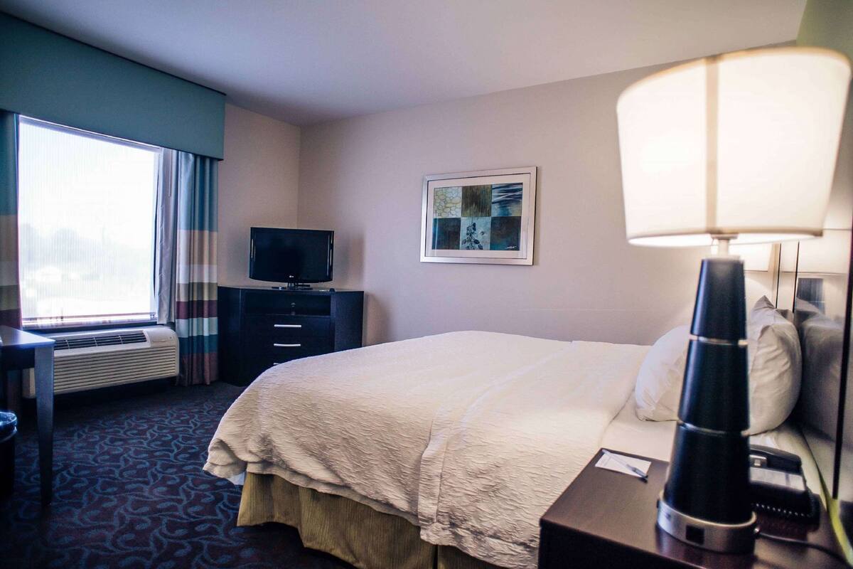 Iron/ironing board, free WiFi, bed sheets, wheelchair access
