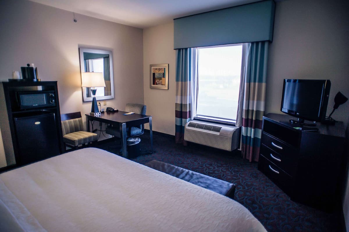 Iron/ironing board, free WiFi, bed sheets, wheelchair access
