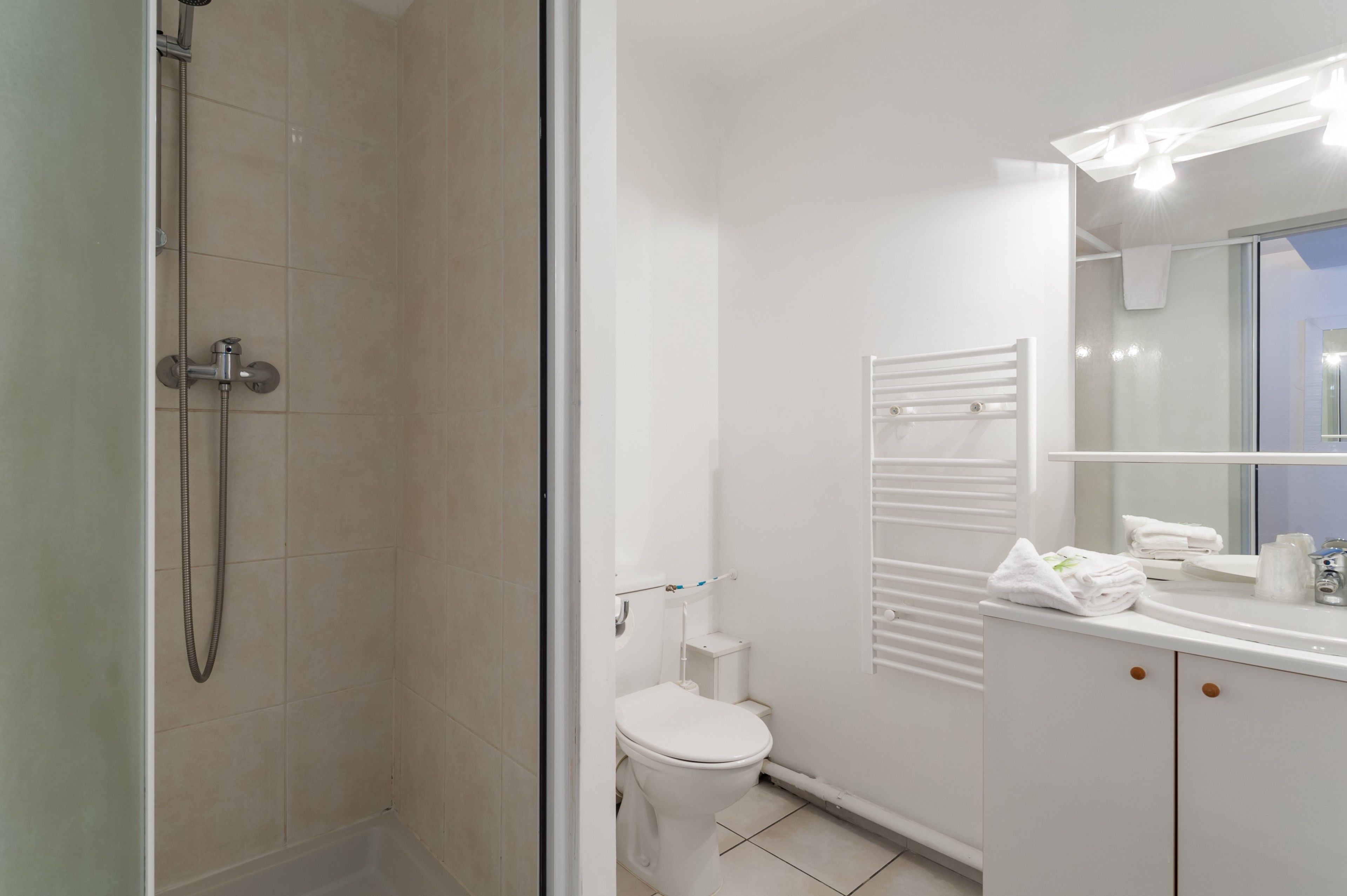 A modern bathroom with a shower, toilet, and a vanity with a mirror.