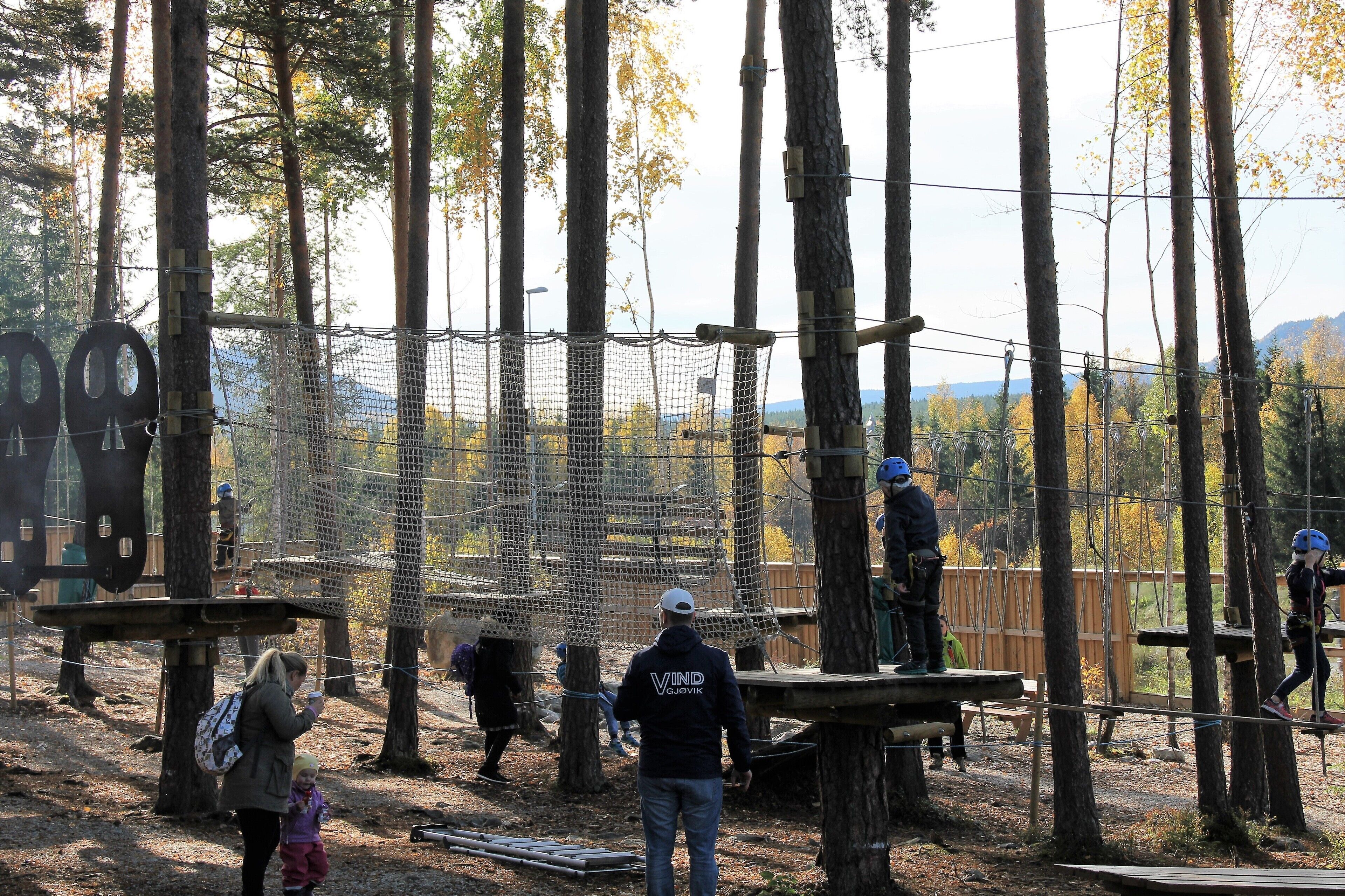 A forested area with a rope bridge and wooden platforms.