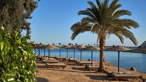 Un resort frente a la playa con sillones de sol, palmeras y sombrillas.