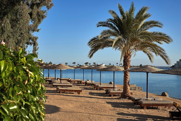 A beachside resort with sun loungers, palm trees, and umbrellas.
