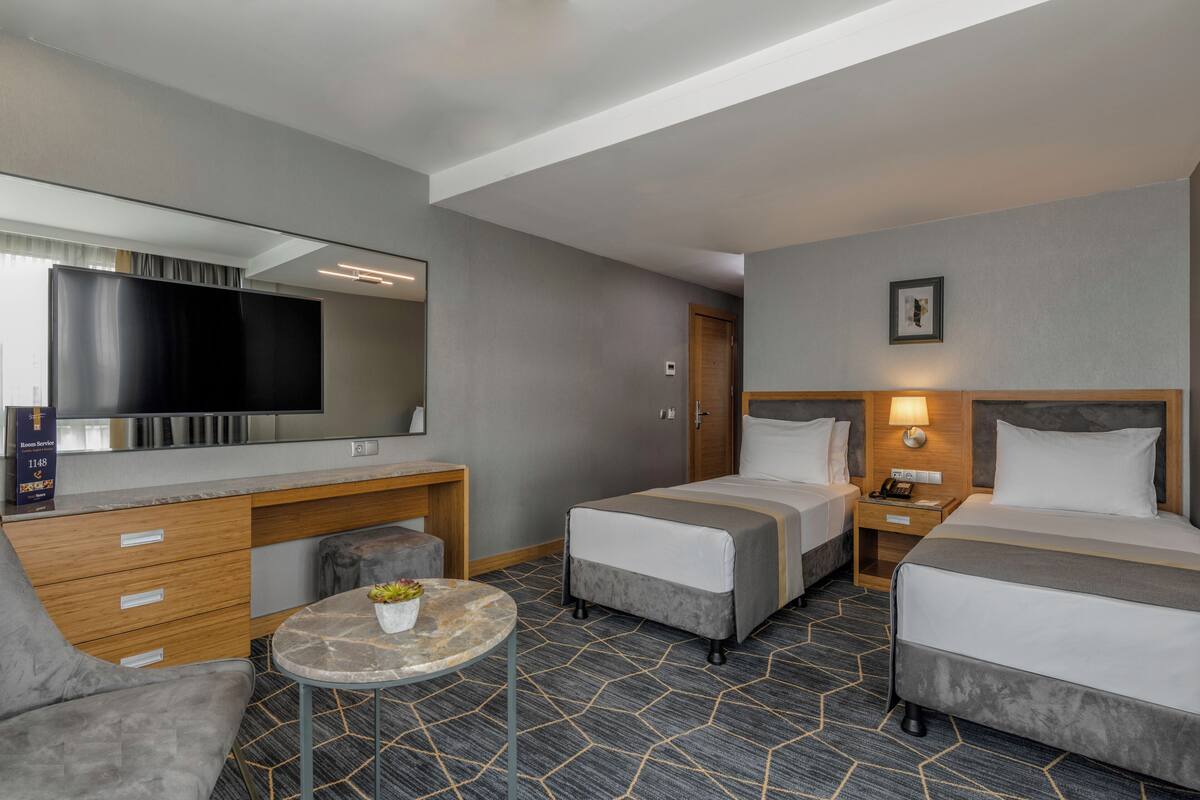 A hotel room with two beds, a desk, a chair, a small table with a plant, and a TV.