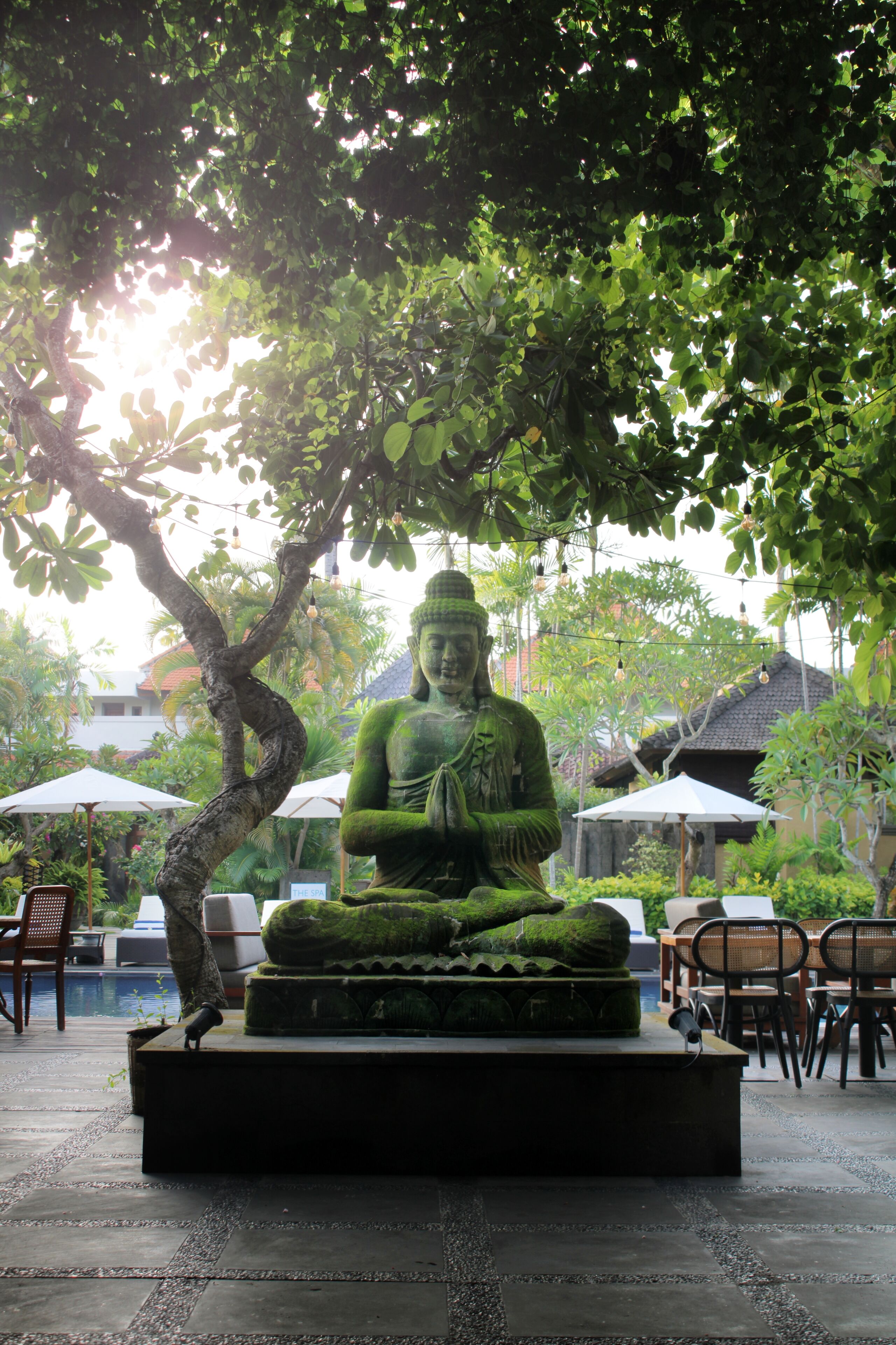 Una gran estatua de Buda en un jardín con árboles y sombrillas.