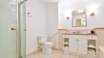 Un baño con inodoro, lavamanos con espejo y ducha.