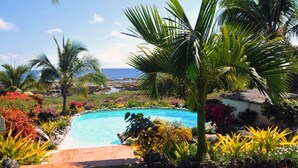 A swimming pool surrounded by tropical plants and a view of the ocean. - White Grass Ocean Resort (Tanna Island)