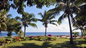 A tropical garden with palm trees and colorful flowers, leading to a beach with the ocean in the background. - White Grass Ocean Resort (Tanna Island)