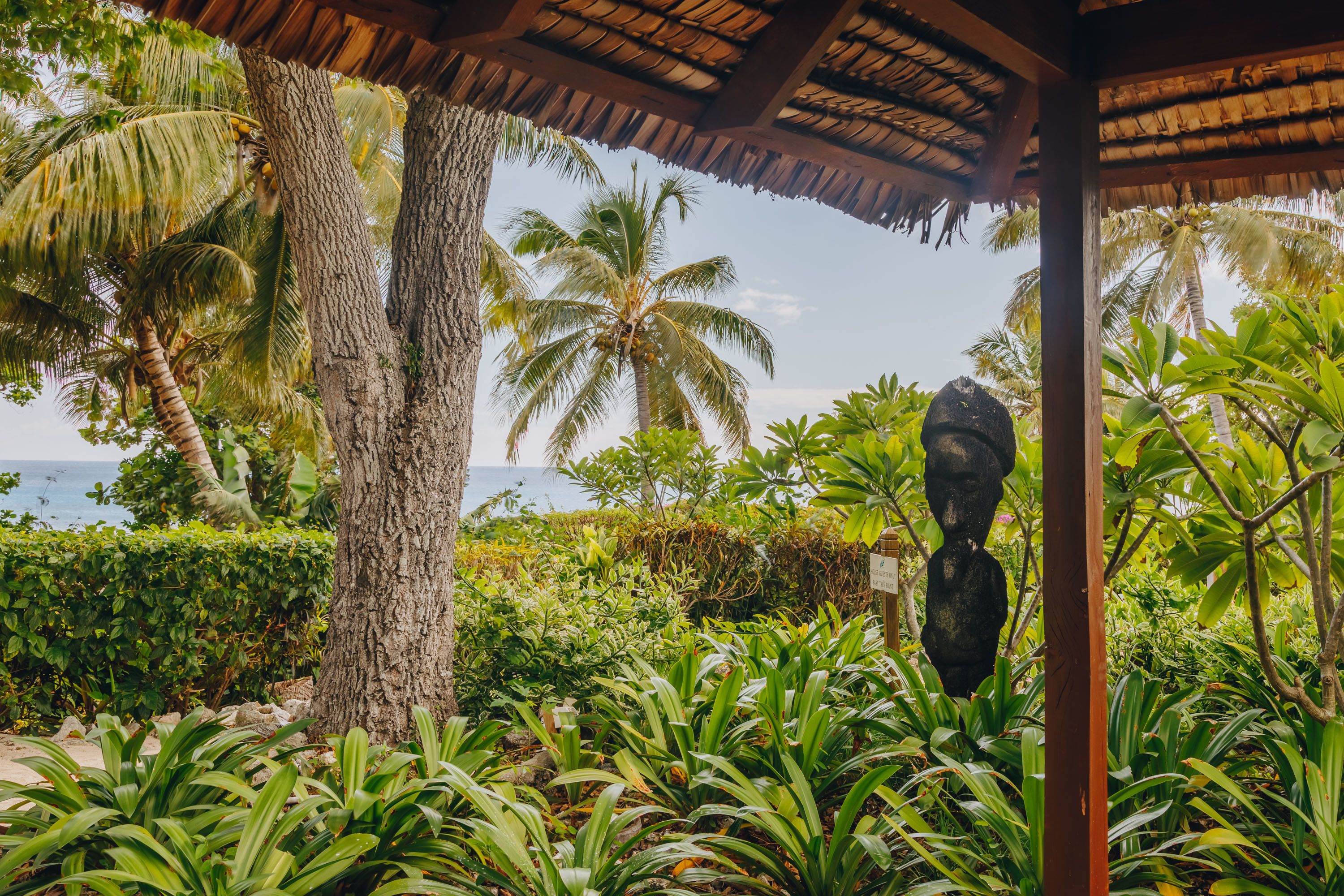 A tropical garden with a thatched roof structure, palm trees, and lush greenery.