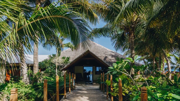 A wooden pathway leading to a thatched-roof structure surrounded by lush greenery. - White Grass Ocean Resort (Tanna Island)