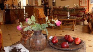A cozy living room with a wooden coffee table, a vase with flowers, and a plate of red fruits. - Aiolos Hotel (Delphi)