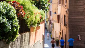 A narrow cobblestone street with buildings on either side, some with balconies and greenery.