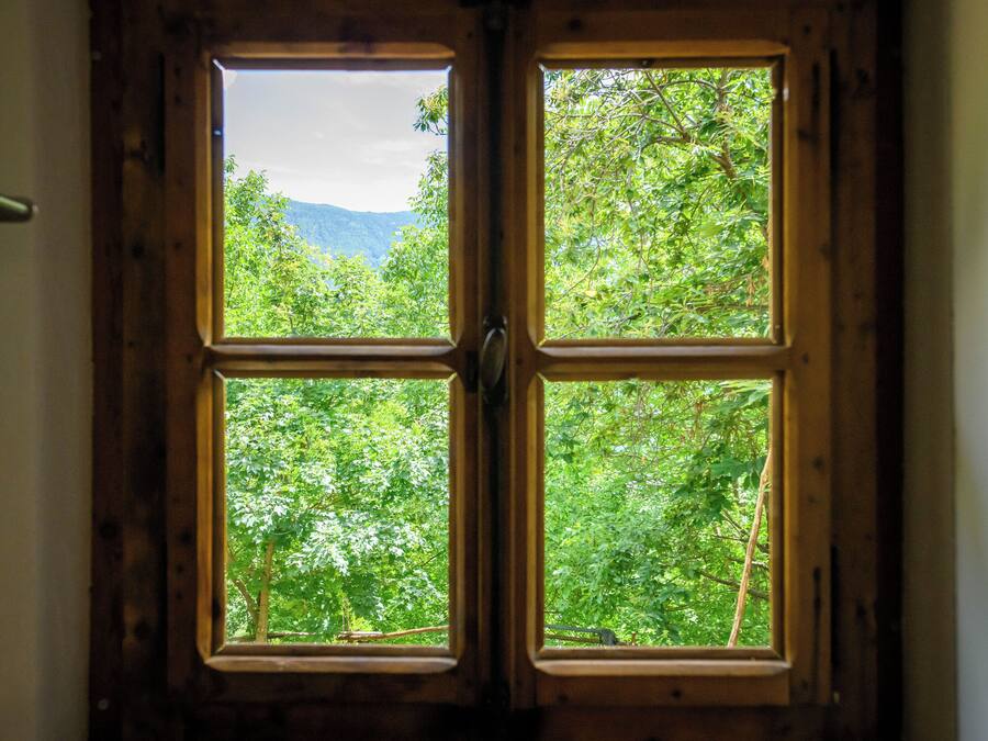 Vista desde la propiedad