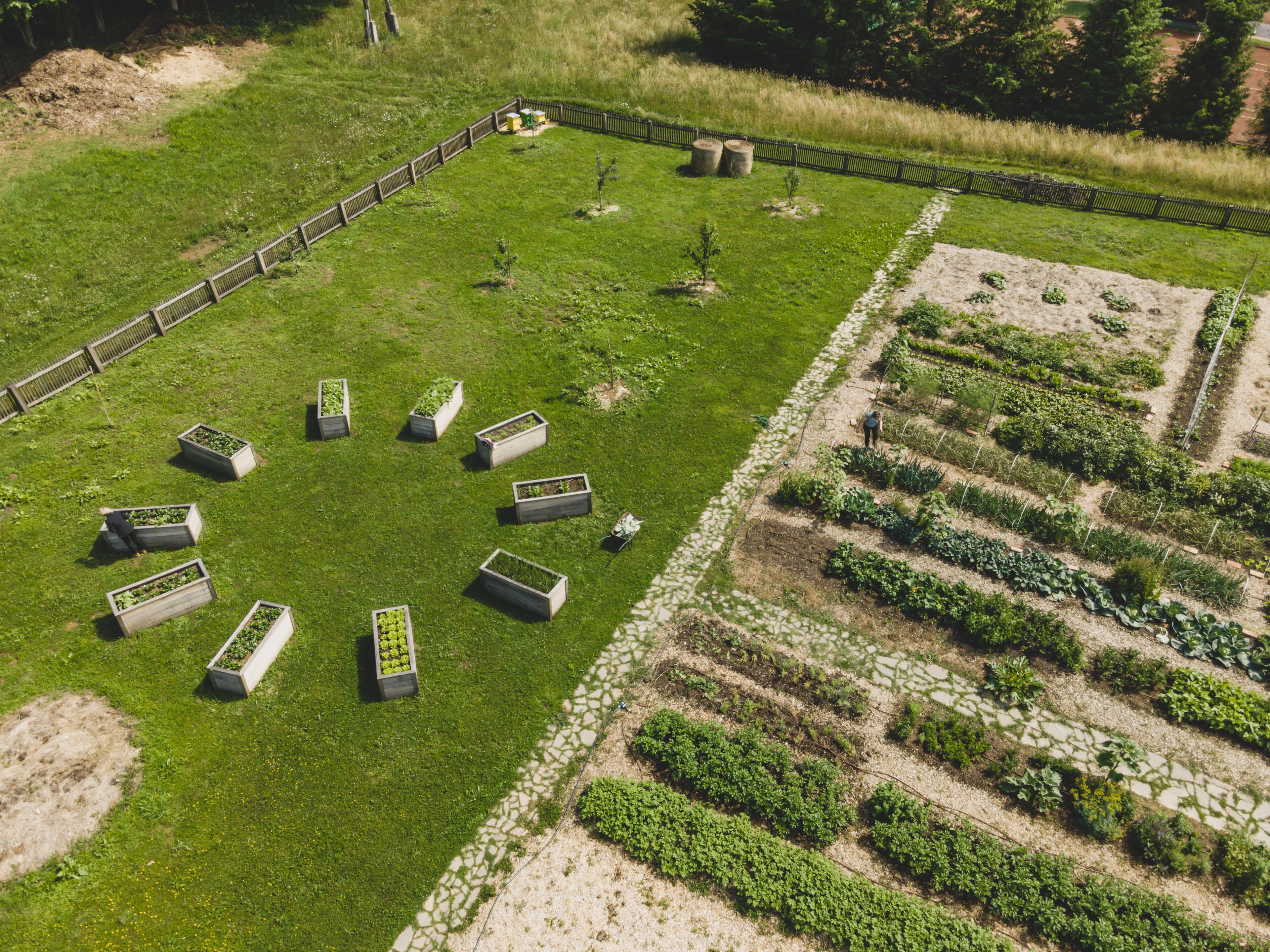 Garden