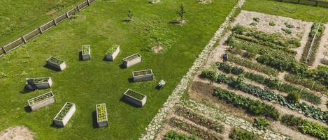 Vista aérea de un jardín con bancales elevados y una zona vallada.