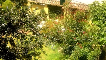 Tuin