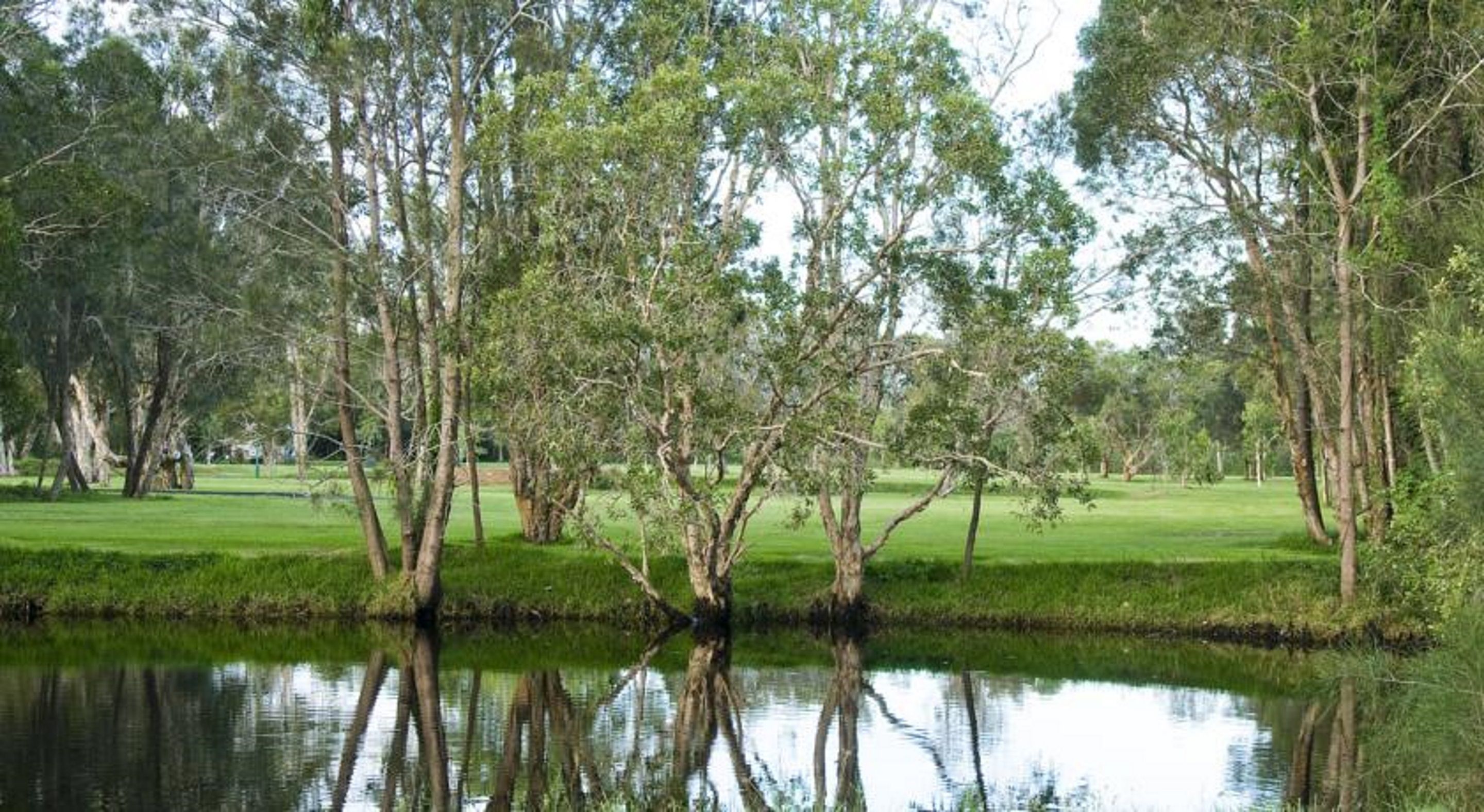 A serene park with a pond, trees, and a grassy area.