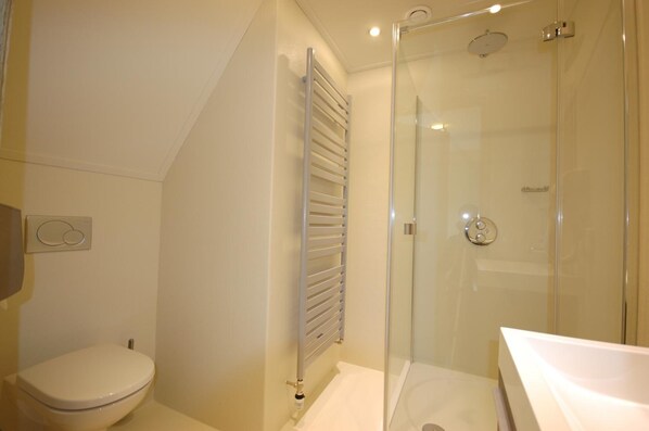 A modern bathroom with a glass shower enclosure, a toilet, and a sink.