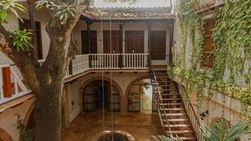 Un patio con un árbol, una escalera y un suelo de ladrillo.