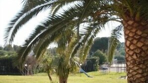 A grassy area with palm trees and a fence in the background. - Heraclea Hotel Residence (Policoro)