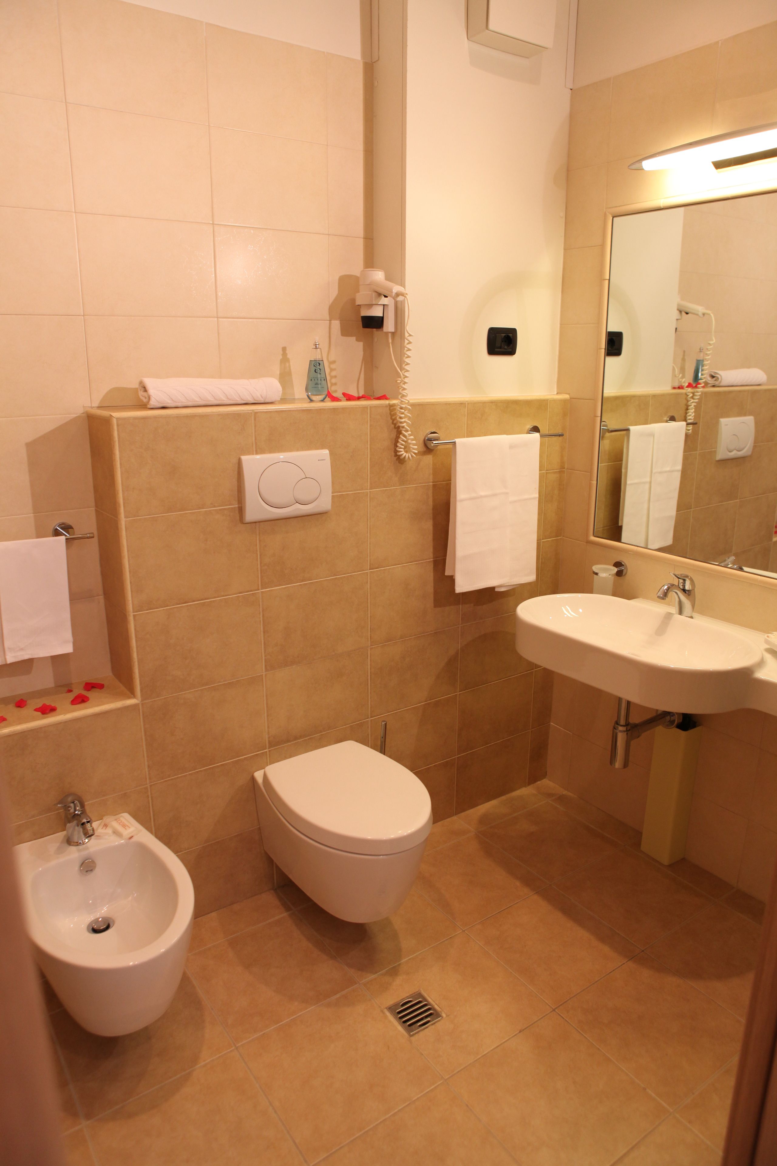 shower, free toiletries, hair dryer, bidet