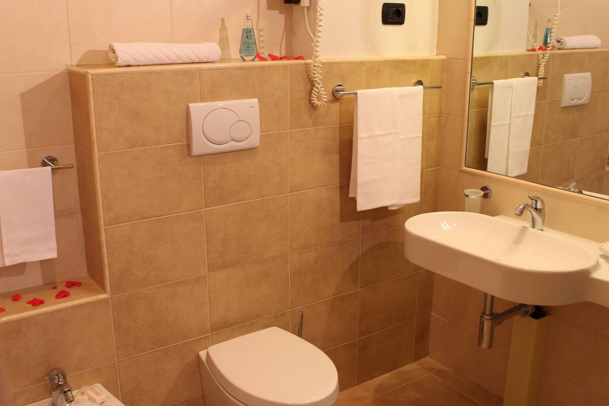 shower, free toiletries, hair dryer, bidet
