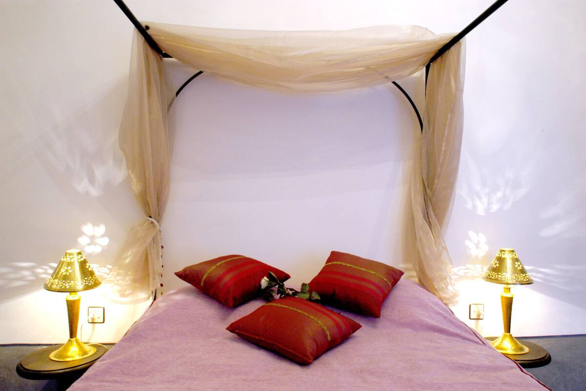 A bed with a canopy, two red pillows, and two bedside lamps.