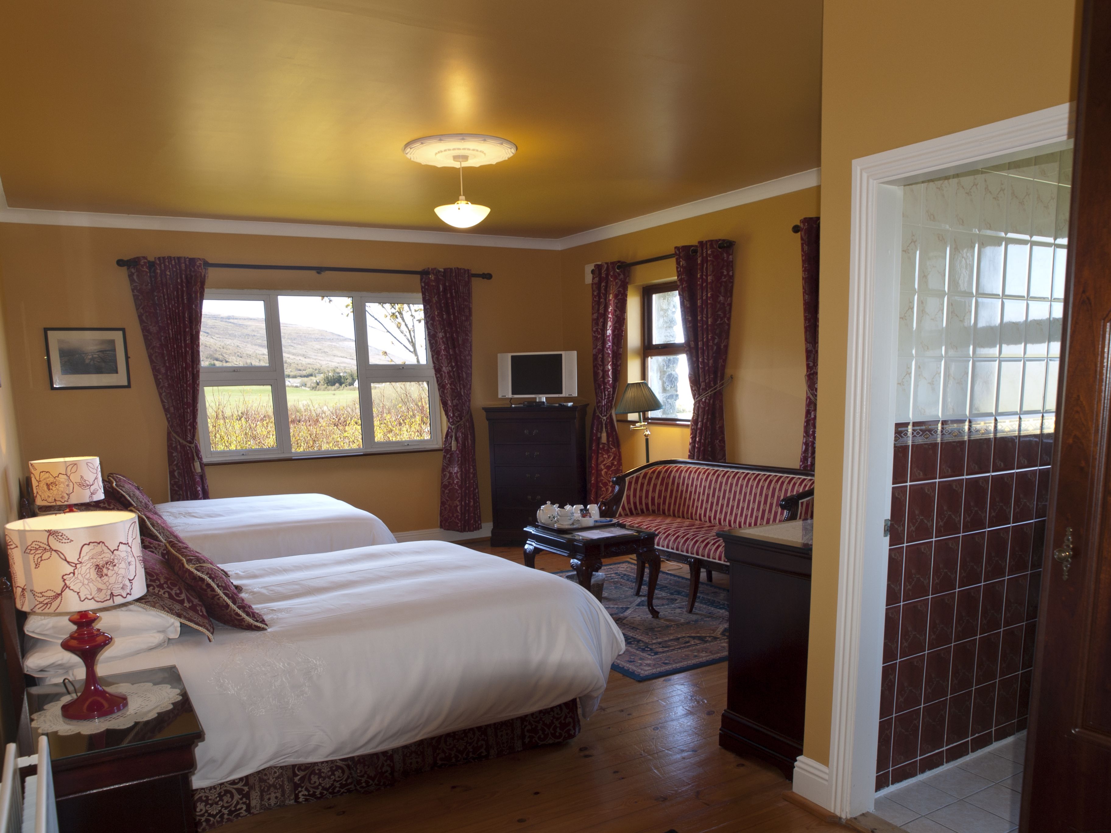 A bedroom with two beds, a television, a desk, and a chair.