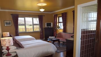 A bedroom with two beds, a television, a desk, and a chair.