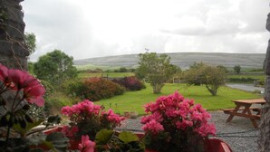 Vista de un jardín con una mesa de picnic y plantas en macetas.