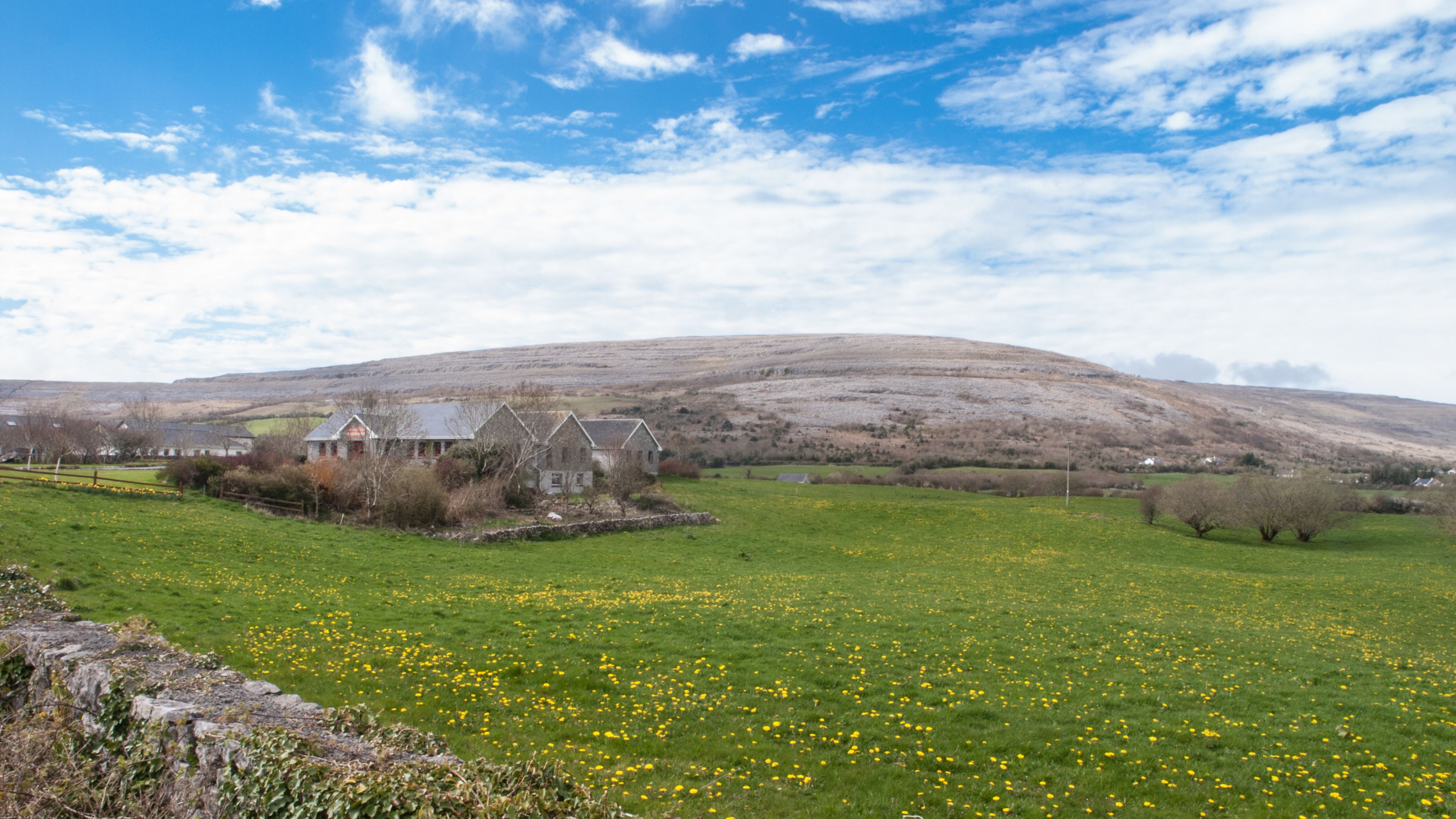 A rural landscape with a house surrounded by fields of yellow flowers and a hill in the background.