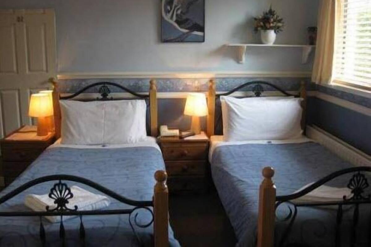 A room with two single beds, each with a wooden headboard and a bedside table with a lamp. There is a painting on the wall above the beds and a shelf with a plant to the right.