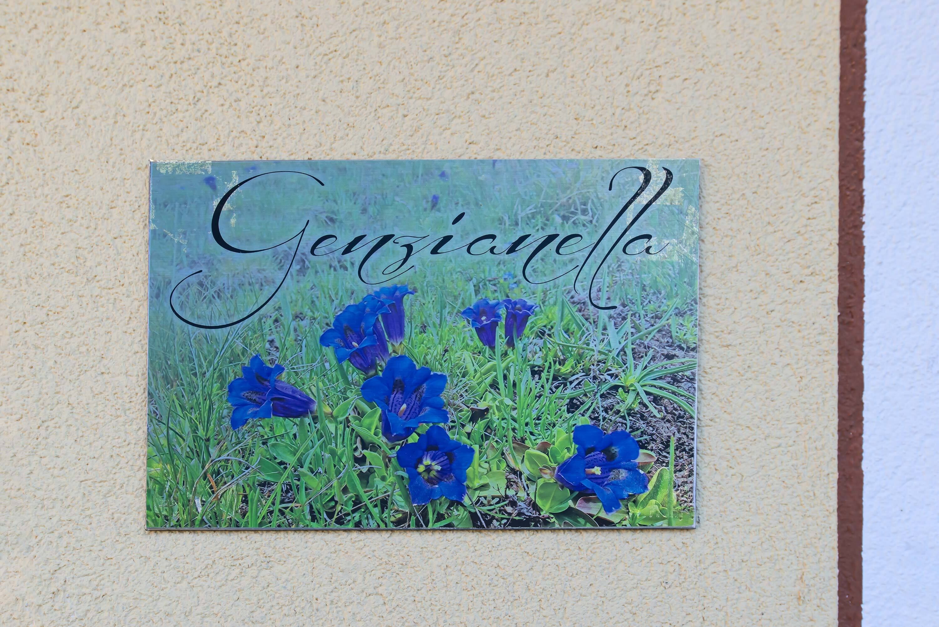 A wall with a framed picture of blue flowers and the name "Genziella" written in cursive.