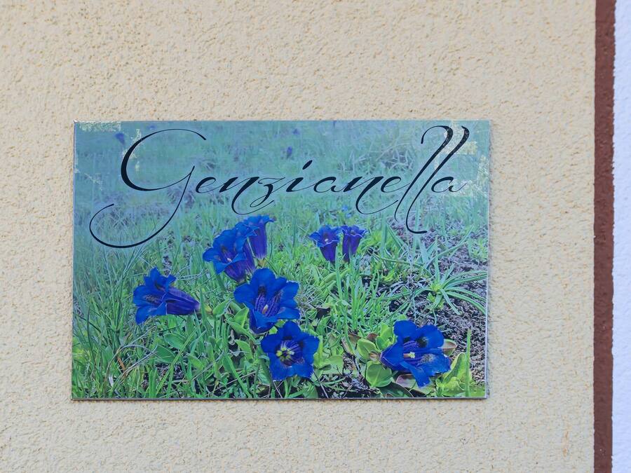 Een muur met een lijstbeeld van blauwe bloemen en de naam 'Genziella' in sierletters.