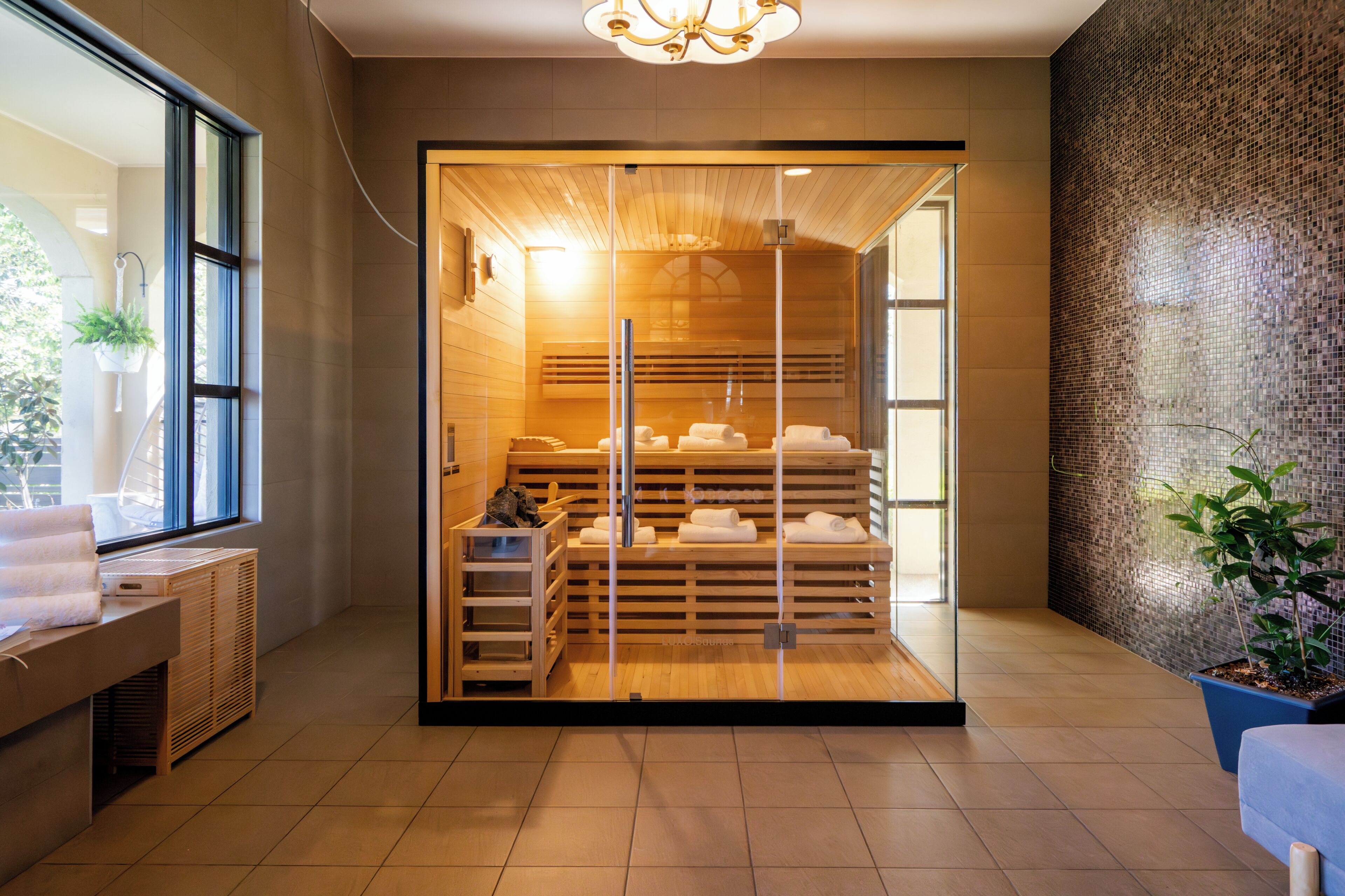 Un interior moderno con una sauna de madera, una zona de estar con un banco y una planta en maceta.