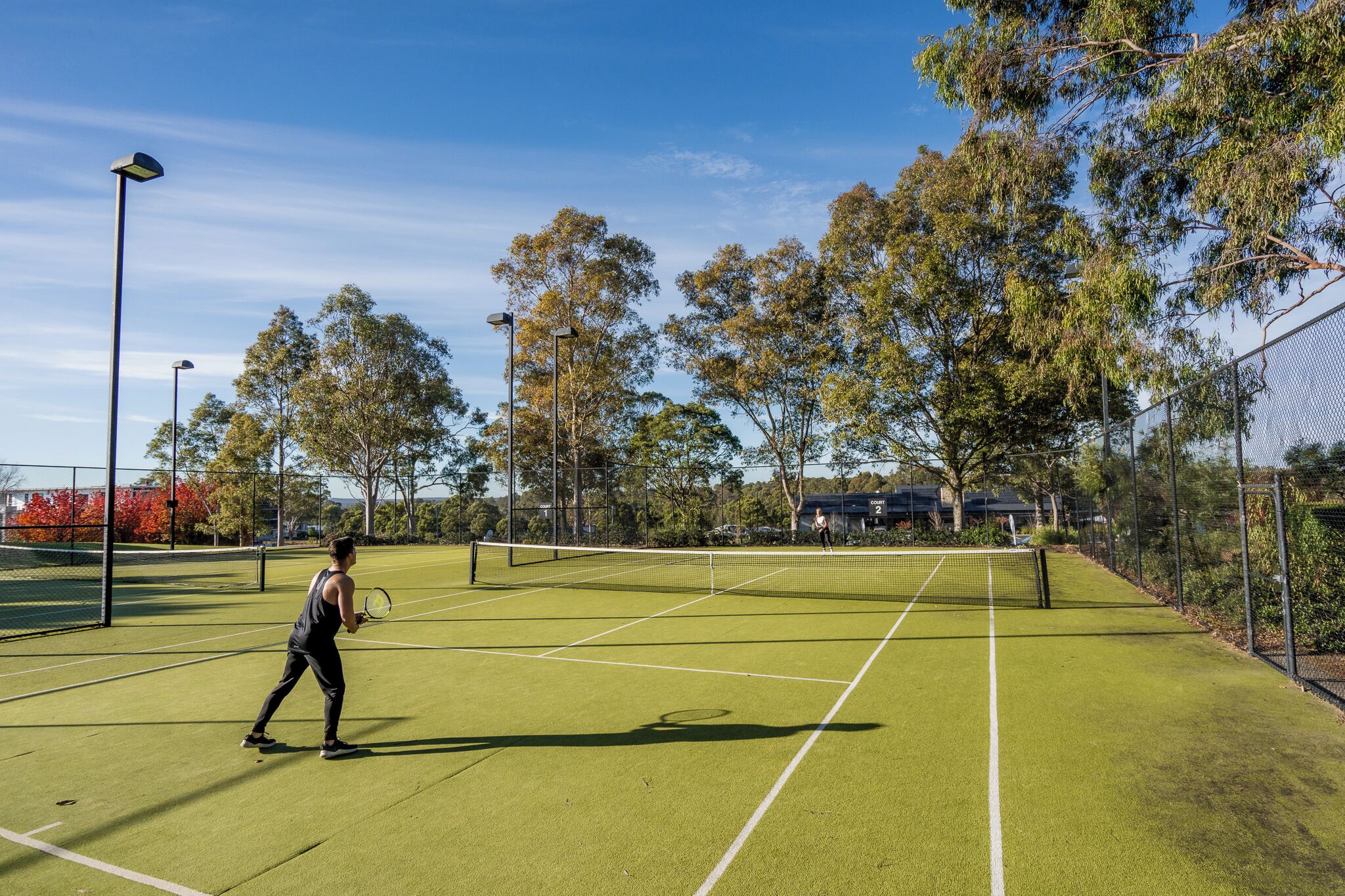 Cancha de tenis con una red, rodeada de árboles y una valla.