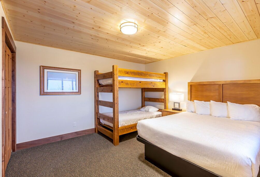 Una camera da letto con un letto a castello, un letto singolo, un quadro appeso al muro e una lampada a soffitto.