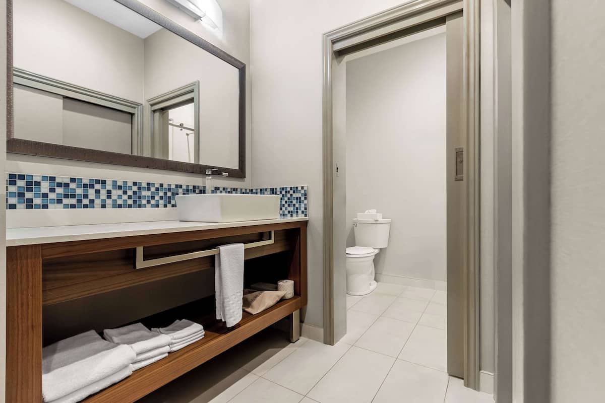 business room, 1 king bed, non smoking, refrigerator | bathroom | combined shower/bathtub, free toiletries, hair dryer, towels