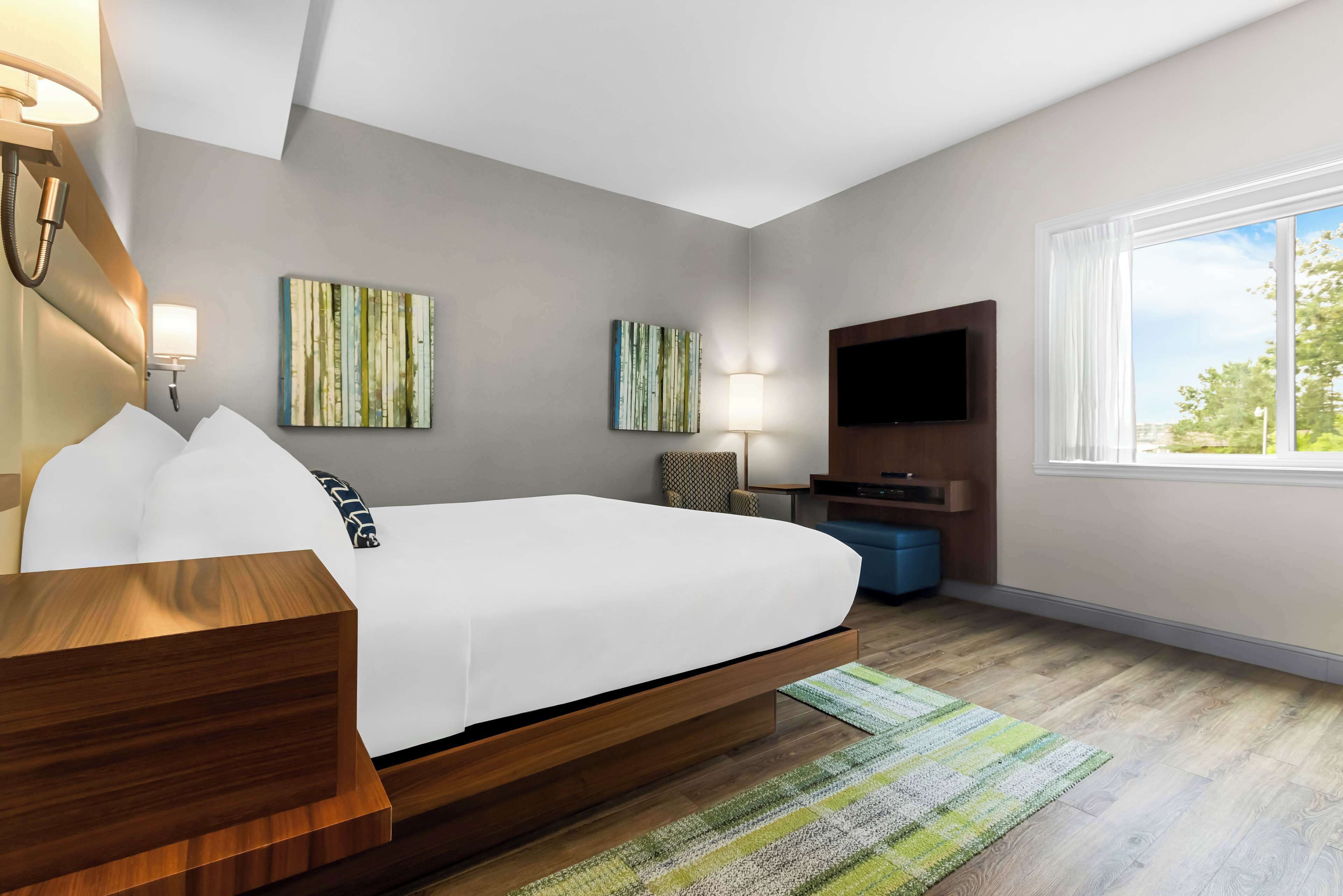 business room, 1 king bed, non smoking, refrigerator | 1 bedroom, soundproofing, iron/ironing board, rollaway beds