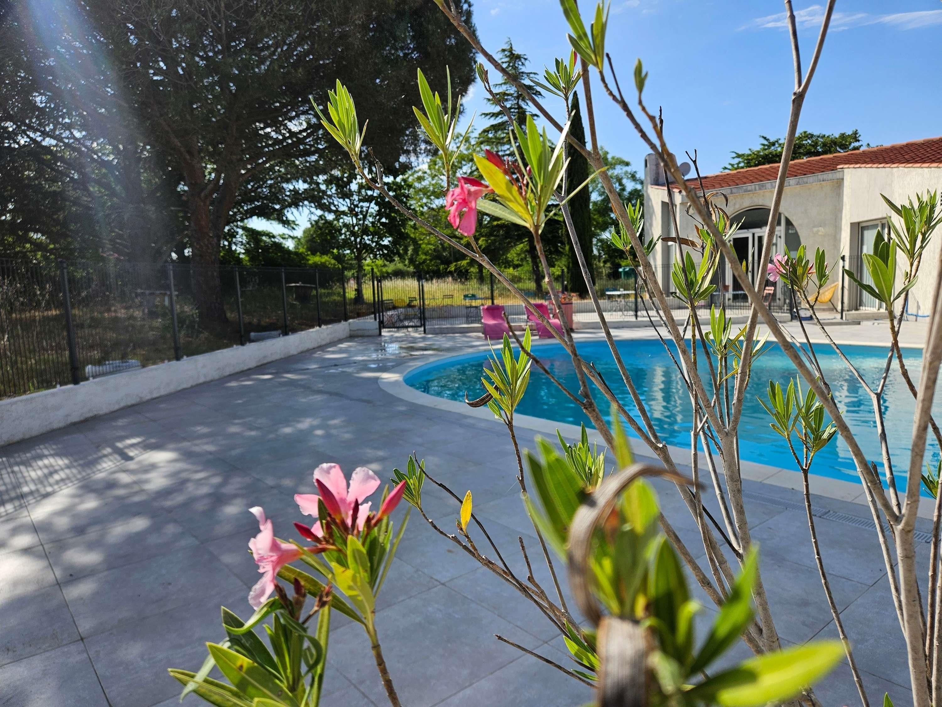 Una piscina con superficie de agua azul cristalina, rodeada por una zona de solárium empedrada.