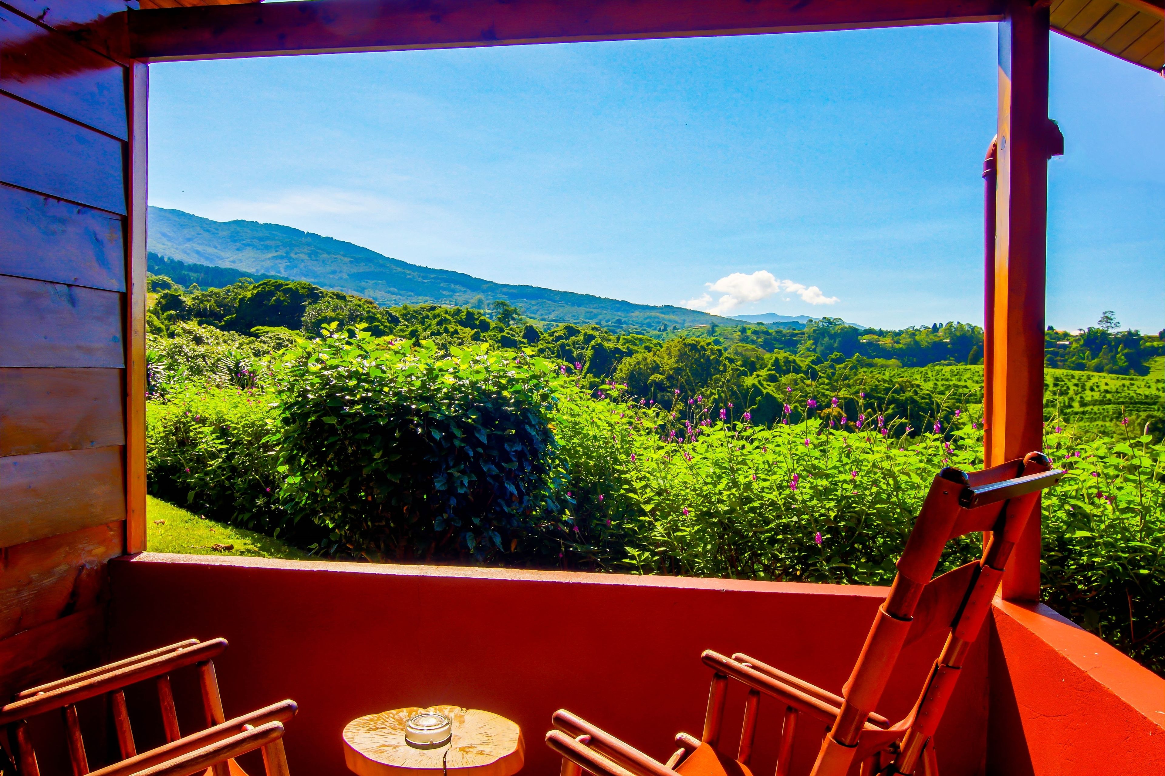 Photo - Hotel Mango Valley