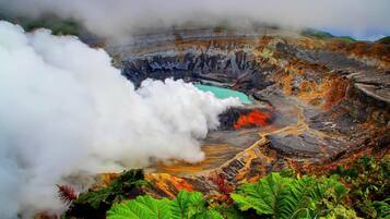 A geothermal area with steam rising from the ground, surrounded by greenery.