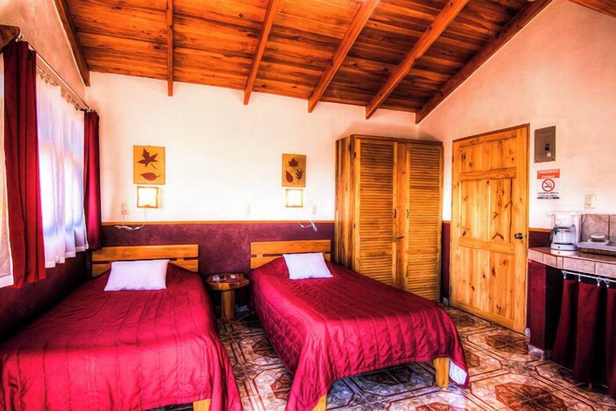 Standard Twin Room, Garden View | Minibar, desk, laptop workspace, iron/ironing board (on request)