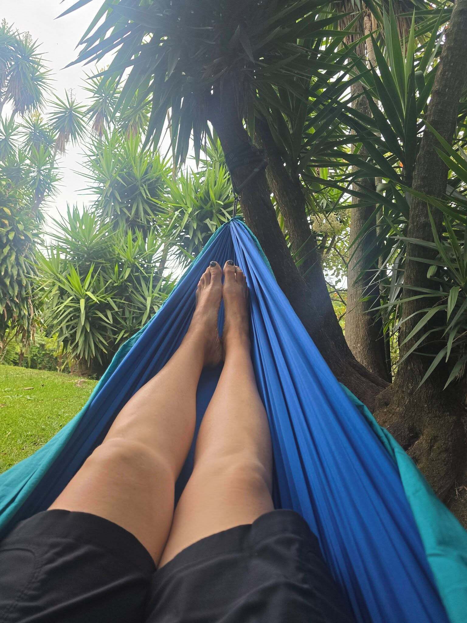 A hammock between trees with a person's legs visible.