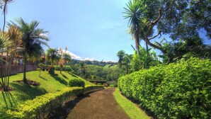 A pathway flanked by lush greenery and palm trees, leading to a distant view of a hilly landscape. - Hotel Mango Valley (San Roque)