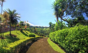 Courtyard - Hotel Mango Valley (San Roque)