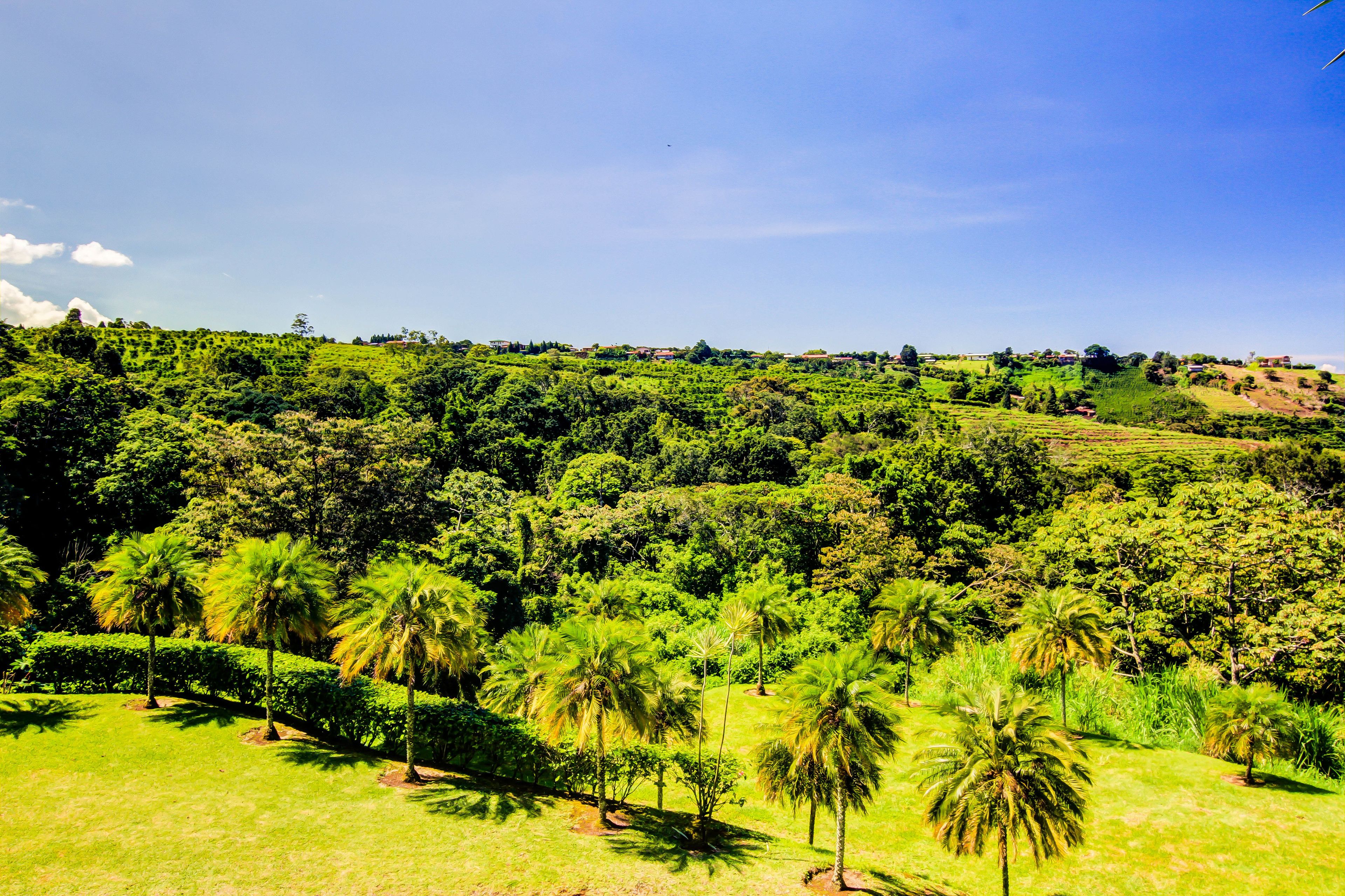 Photo - Hotel Mango Valley