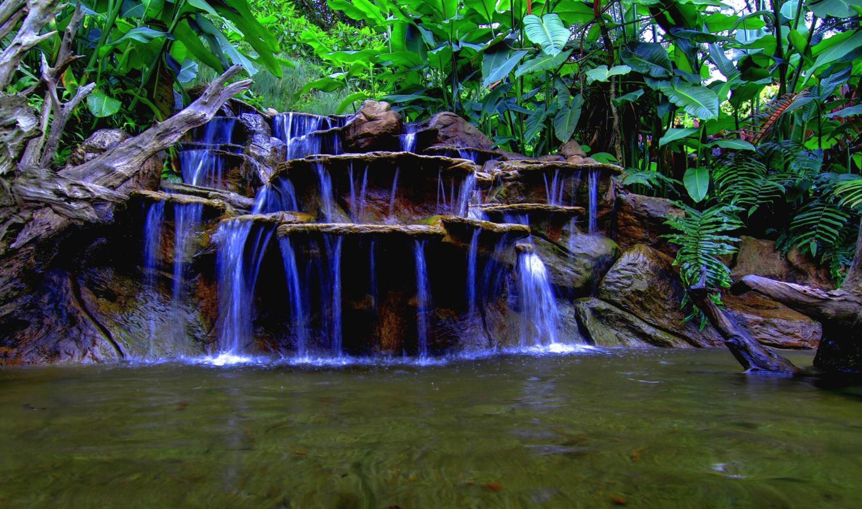 Photo - Hotel Mango Valley