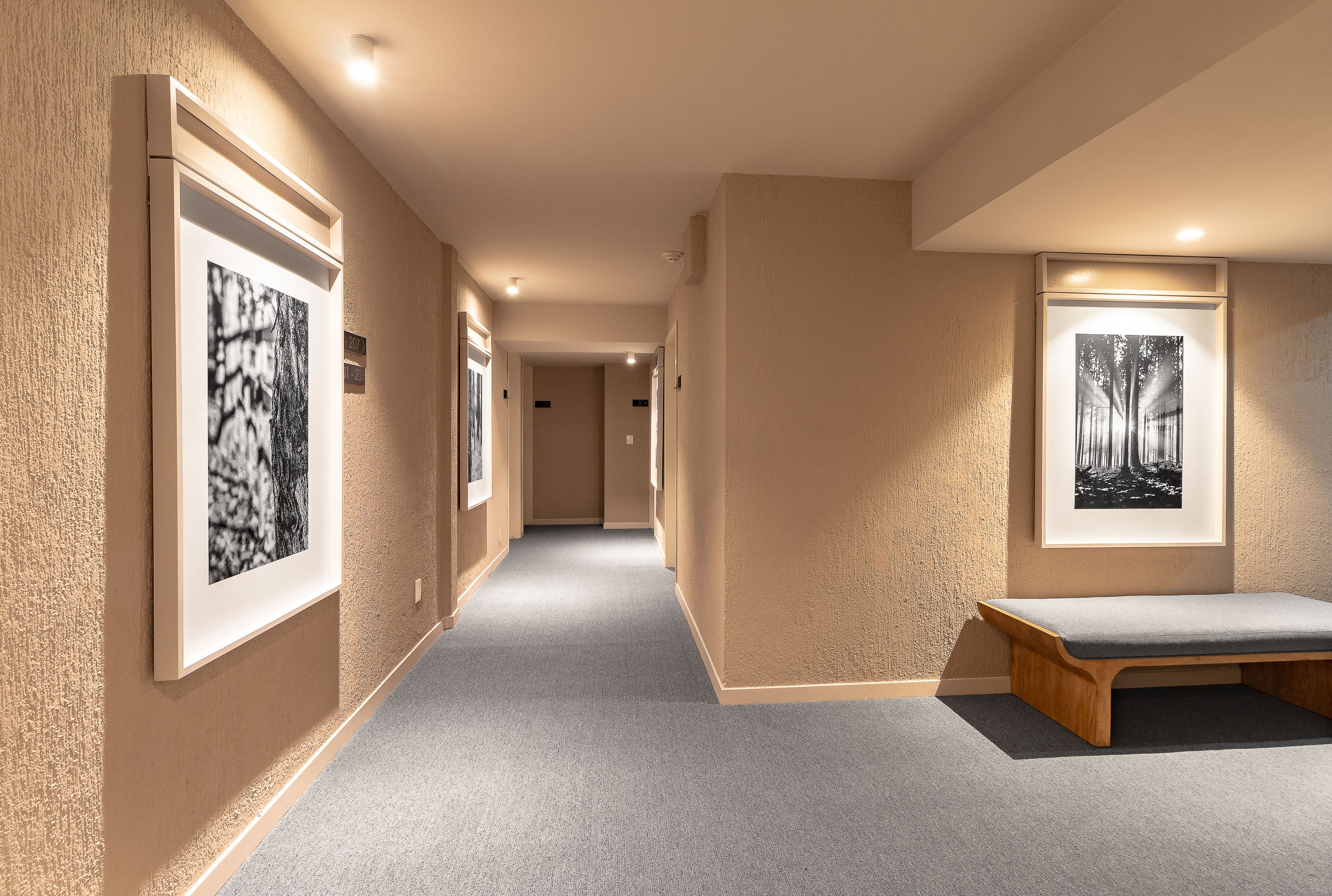 Un pasillo con fotografías en blanco y negro enmarcadas en las paredes, un banco y piso alfombrado.