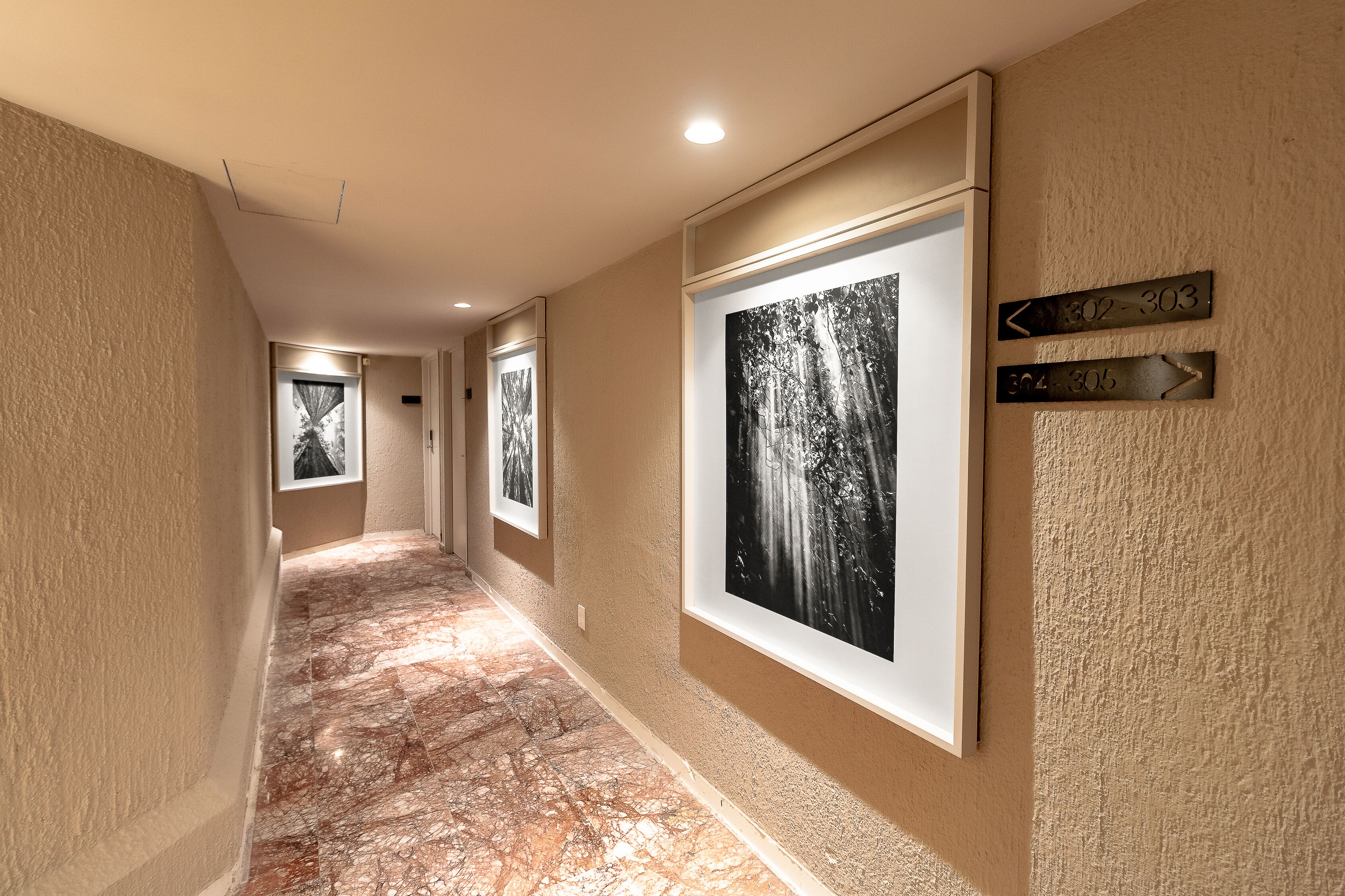 Foto - Oliva Plaza Hotel